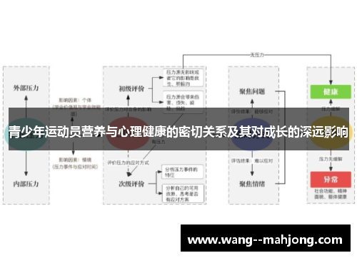 青少年运动员营养与心理健康的密切关系及其对成长的深远影响