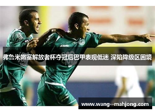 弗鲁米嫩塞解放者杯夺冠后巴甲表现低迷 深陷降级区困境