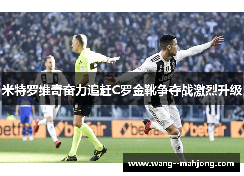 米特罗维奇奋力追赶C罗金靴争夺战激烈升级 米特罗维奇奋力追赶C罗金靴争夺战激烈升级