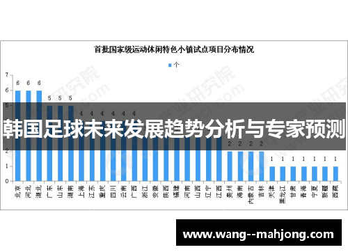 韩国足球未来发展趋势分析与专家预测