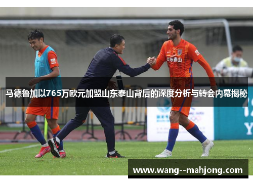 马德鲁加以765万欧元加盟山东泰山背后的深度分析与转会内幕揭秘